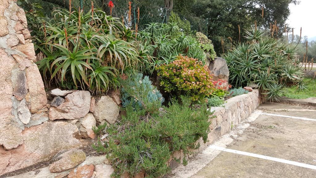 Corsica Hostel Porto-Vecchio, Partie Dortoirs Zewnętrze zdjęcie
